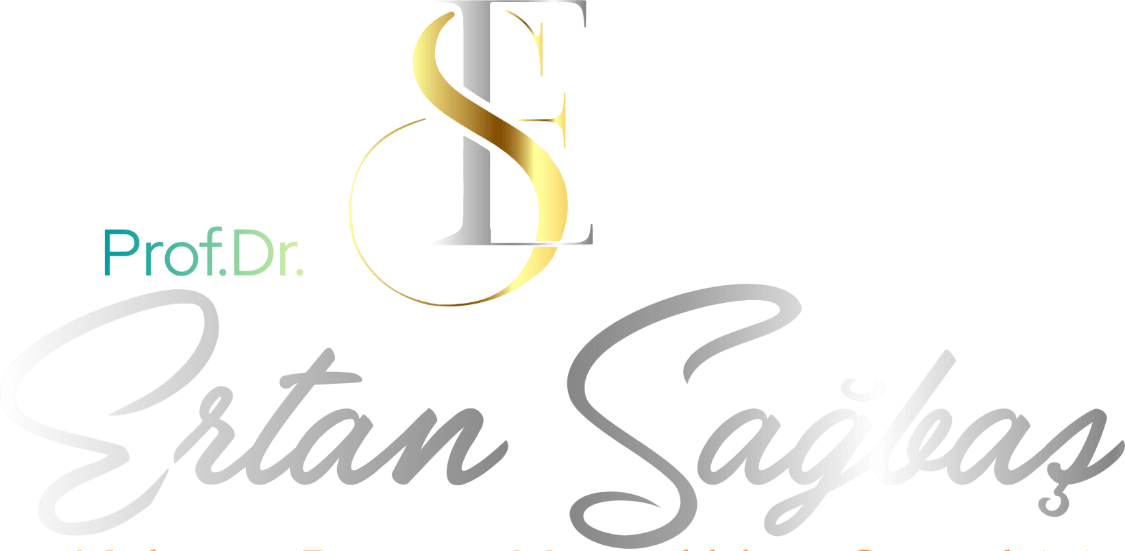 ertan sagbas logo